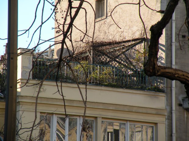  terrasse avec végétation, rue Froidevaux